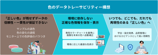 CMS_261007
