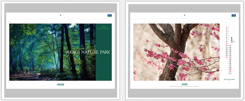第73回全国カレンダー展（2022年）入賞作品｜TOPPANクロレ株式会社