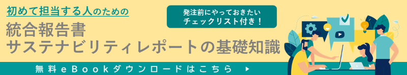 統合報告書eBook