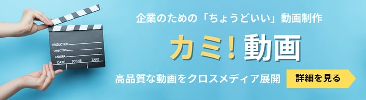 videoLP_bnr_800x220