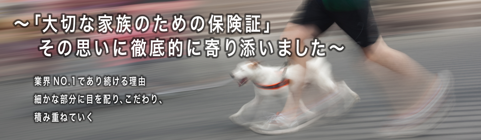 アニコム損害保険株式会社様