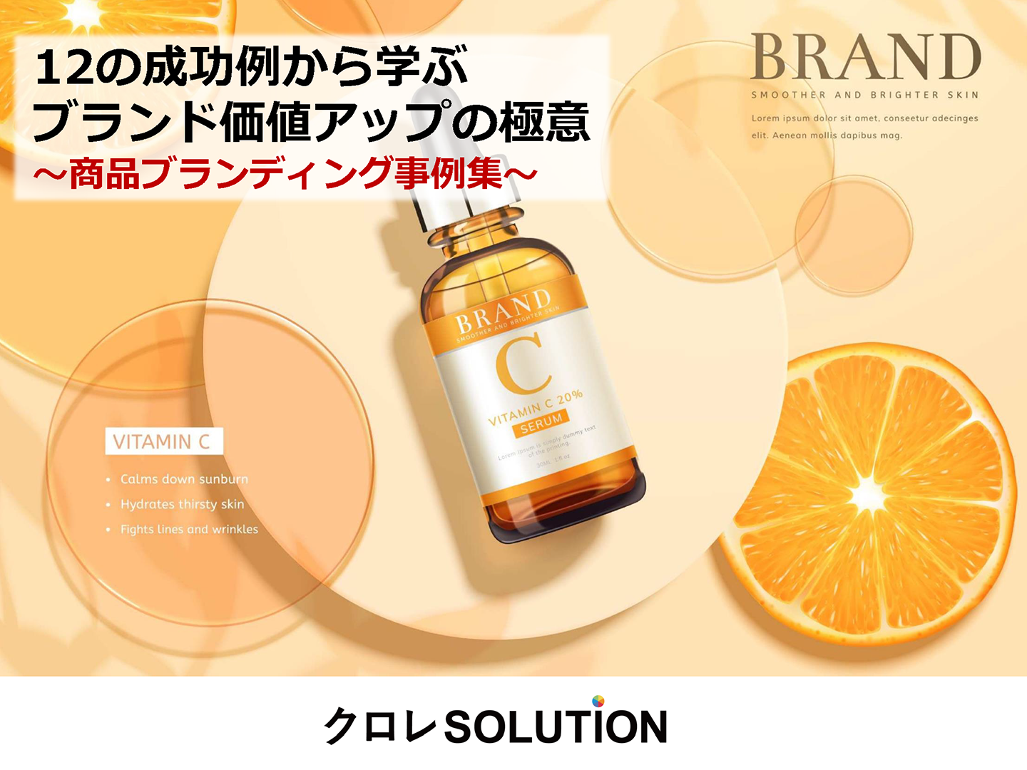 12の成功例から学ぶブランド価値アップの極意～商品ブランディング事例集～